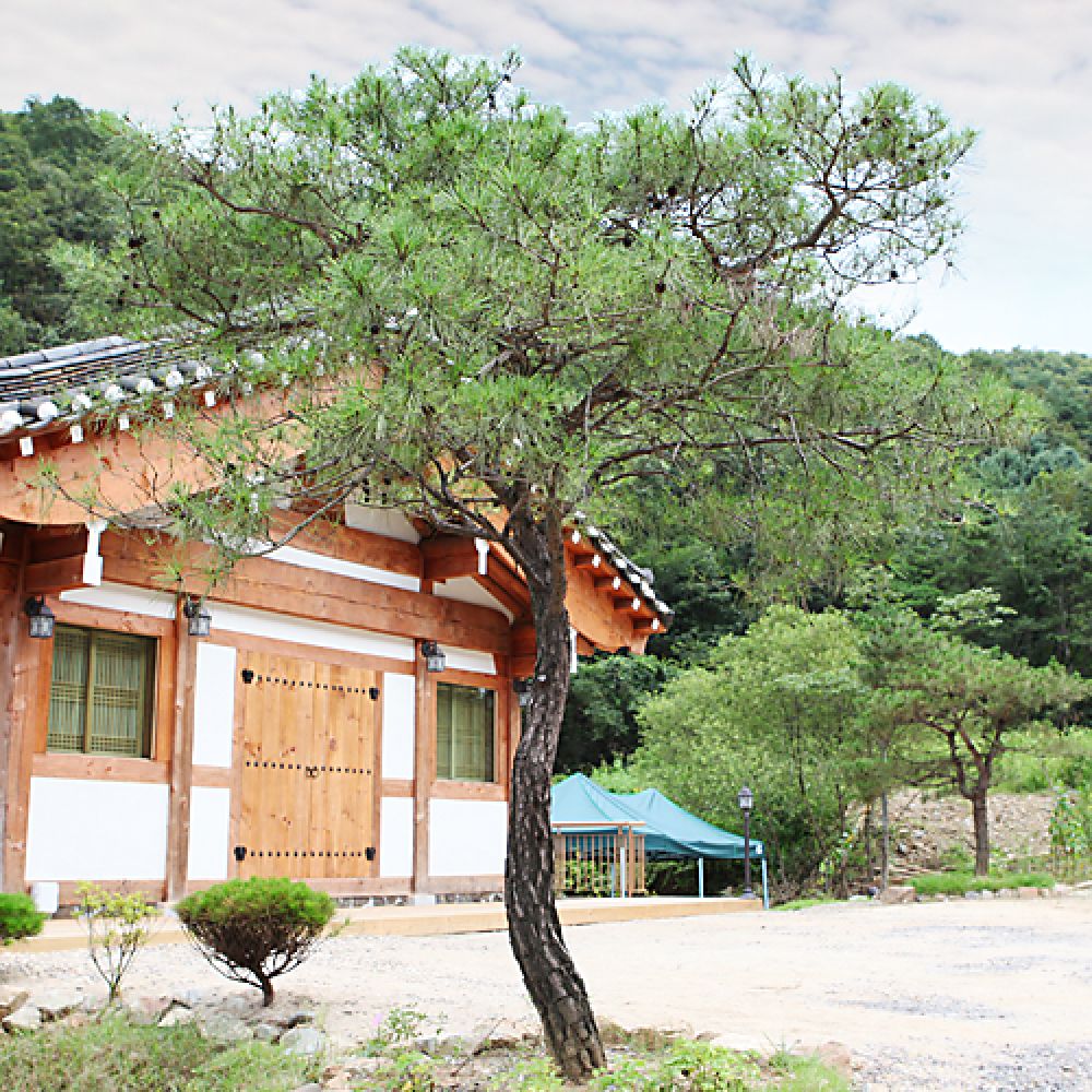 주간전경